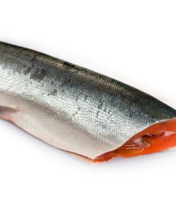 Frozen Salmon Fish