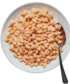Great Northern Beans (kidney beans)
