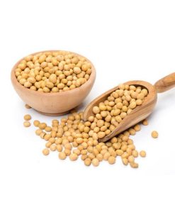 Soyabean Seeds